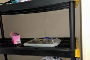 224 Meadow Rd, Alma, GA 31510 - Photo 11