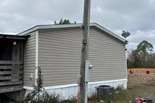 224 Meadow Rd, Alma, GA 31510 - Photo 25