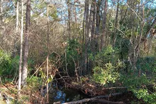 1962 Butler Johnson Rd, White Oak, GA 31568 - Photo 7