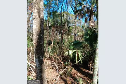 1962 Butler Johnson Road, White Oak, GA 31568 - Photo 9