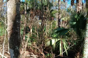 1962 Butler Johnson Rd, White Oak, GA 31568 - Photo 9