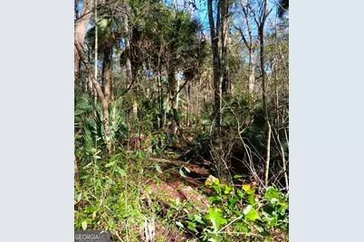 1962 Butler Johnson Road, White Oak, GA 31568 - Photo 19