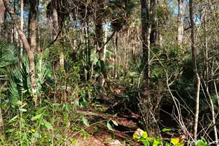 1962 Butler Johnson Rd, White Oak, GA 31568 - Photo 19