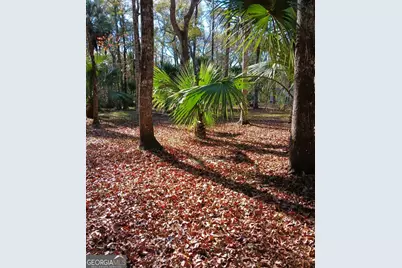 1962 Butler Johnson Road, White Oak, GA 31568 - Photo 17