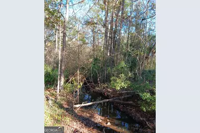 1962 Butler Johnson Road, White Oak, GA 31568 - Photo 13