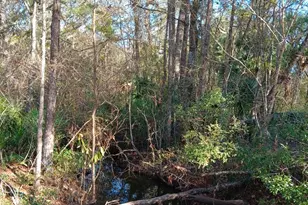 1962 Butler Johnson Rd, White Oak, GA 31568 - Photo 13