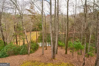 96 Clubhouse Court, Ellijay, GA 30536 - Photo 43