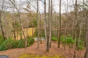 96 Clubhouse Ct, Ellijay, GA 30536 - Photo 43