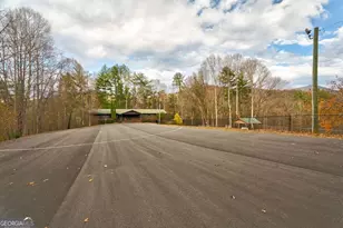 96 Clubhouse Ct, Ellijay, GA 30536 - Photo 51