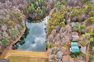 96 Clubhouse Ct, Ellijay, GA 30536 - Photo 47