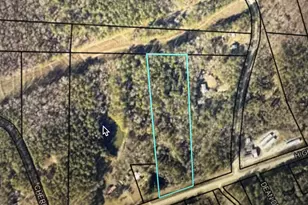 0 Ga Hwy 34, Franklin, GA 30217 - Photo 1