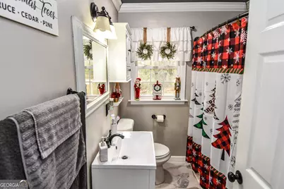 871 Lifsey Springs Road, Molena, GA 30258 - Photo 47