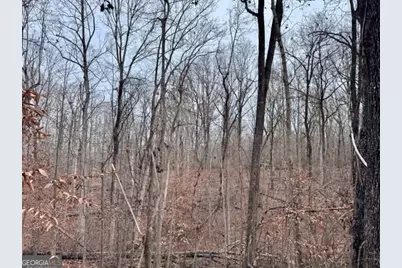 4260 Joe Chandler Road, Gillsville, GA 30543 - Photo 5