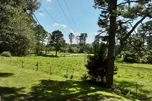 6215 Ga Hwy 34, Franklin, GA 30217 - Photo 63