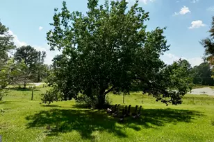 6215 Ga Hwy 34, Franklin, GA 30217 - Photo 61