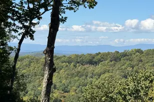 97 Deer Ridge, Morganton, GA 30560 - Photo 3