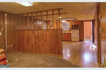 4421 Albert Rahn Road, Glennville, GA 30427 - Photo 53