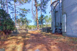 4421 Albert Rahn Rd, Glennville, GA 30427 - Photo 73