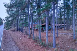 4421 Albert Rahn Rd, Glennville, GA 30427 - Photo 17