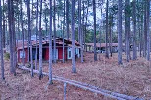 4421 Albert Rahn Rd, Glennville, GA 30427 - Photo 15