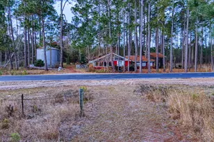 4421 Albert Rahn Rd, Glennville, GA 30427 - Photo 7