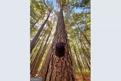 0 Eugene Ward Road, Adrian, GA 31002 - Photo 21