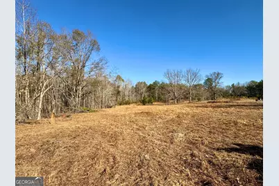 0 Eugene Ward Road, Adrian, GA 31002 - Photo 3