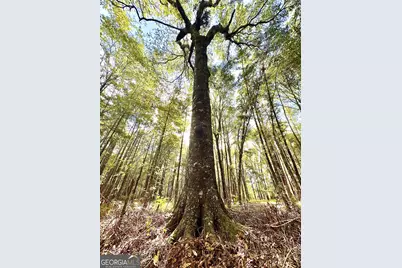 0 Eugene Ward Road, Adrian, GA 31002 - Photo 19