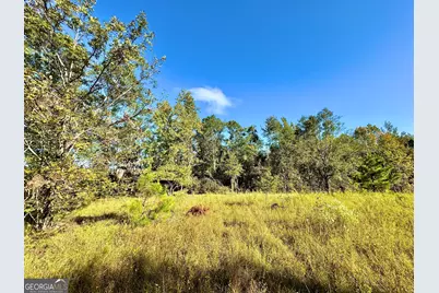 0 Eugene Ward Road, Adrian, GA 31002 - Photo 15