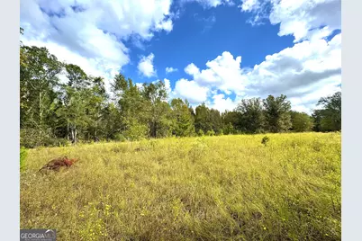 0 Eugene Ward Road, Adrian, GA 31002 - Photo 17
