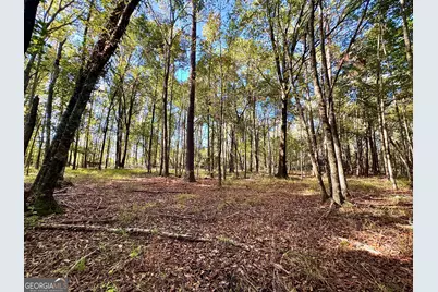 0 Eugene Ward Road, Adrian, GA 31002 - Photo 13