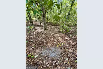 0 Eugene Ward Road, Adrian, GA 31002 - Photo 27