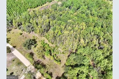 0 Eugene Ward Road, Adrian, GA 31002 - Photo 11