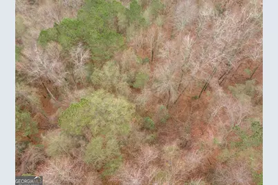 101 Mission Farm Road, Gordon, GA 31031 - Photo 29