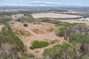 10544 Burkhalter Rd, Statesboro, GA 30461 - Photo 57