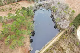 10544 Burkhalter Rd, Statesboro, GA 30461 - Photo 59