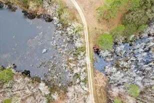 10544 Burkhalter Rd, Statesboro, GA 30461 - Photo 61