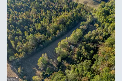 14381 County Road 66, Heflin, AL 36264 - Photo 11