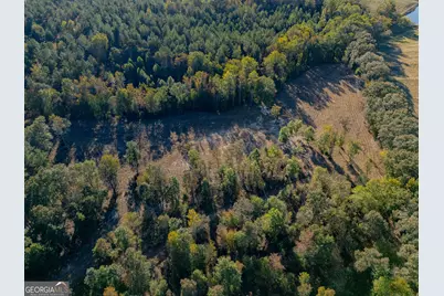 14381 County Road 66, Heflin, AL 36264 - Photo 9