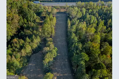 14381 County Road 66, Heflin, AL 36264 - Photo 3