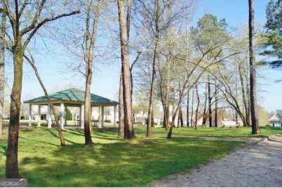 41 Corbel Way, Newnan, GA 30265 - Photo 73