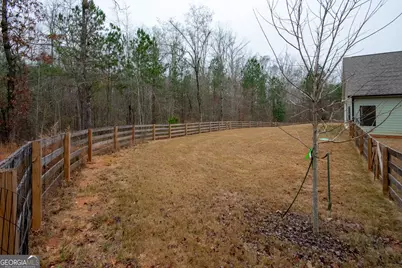 298 Walden Pond Trail, Senoia, GA 30276 - Photo 3