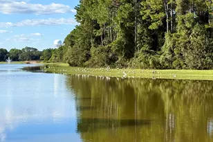 114 Tacatacoru Ct, Saint Marys, GA 31558 - Photo 39