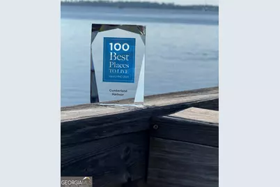 114 Tacatacoru Court, Saint Marys, GA 31558 - Photo 43