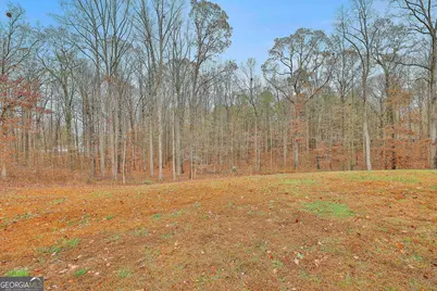 1234 Haynie Road, Moreland, GA 30259 - Photo 57