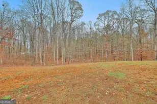 1234 Haynie Rd, Moreland, GA 30259 - Photo 57