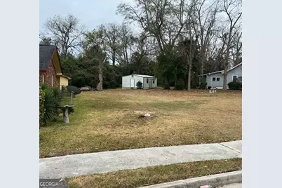 234 Bulloch Street, Statesboro, GA 30458 - Photo 3