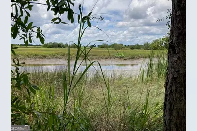 3327 Horseshoe Cove Road #LOT 22, Waverly, GA 31565 - Photo 9