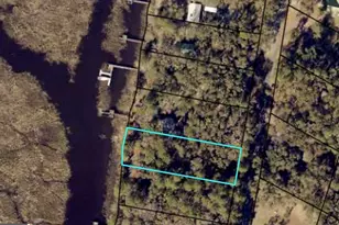 3327 Horseshoe Cove Rd, Waverly, GA 31565 - Photo 1