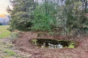 2061 Hartwell Hwy, Elberton, GA 30635 - Photo 39